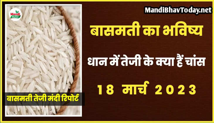 बासमती का रेट