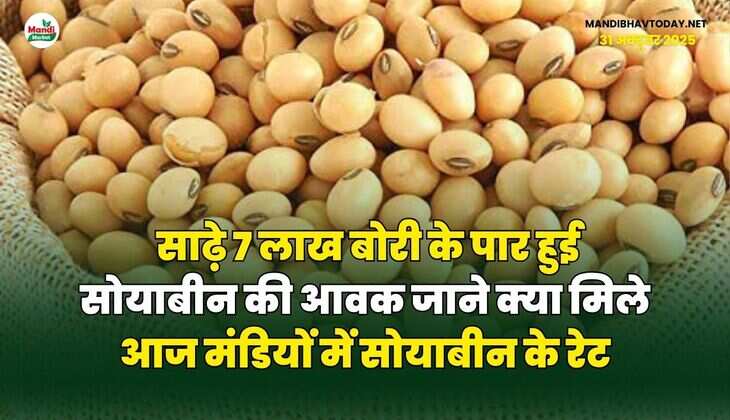साढ़े 7 लाख बोरी के पार हुई सोयाबीन की आवक | जाने क्या मिले आज मंडियों में सोयाबीन के रेट