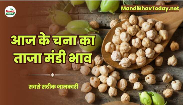 आज के चना के ताजा मंडी भाव | chana ke mandi bhav 07 October 2024