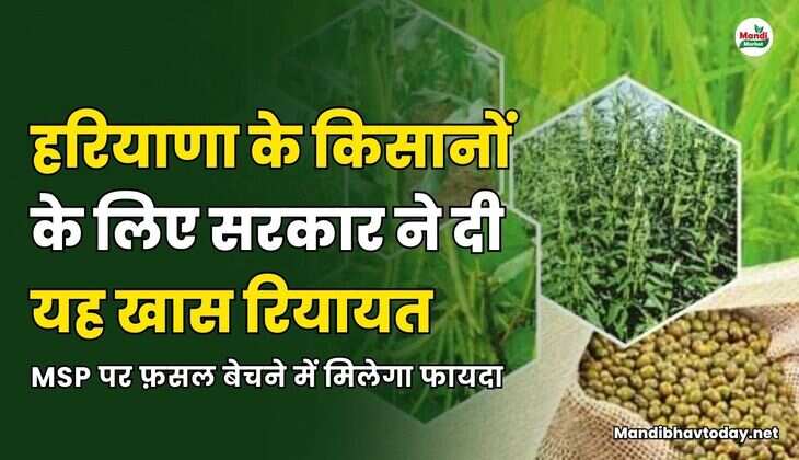 MSP पर फ़सल बेचने में मिलेगा फायदा 
