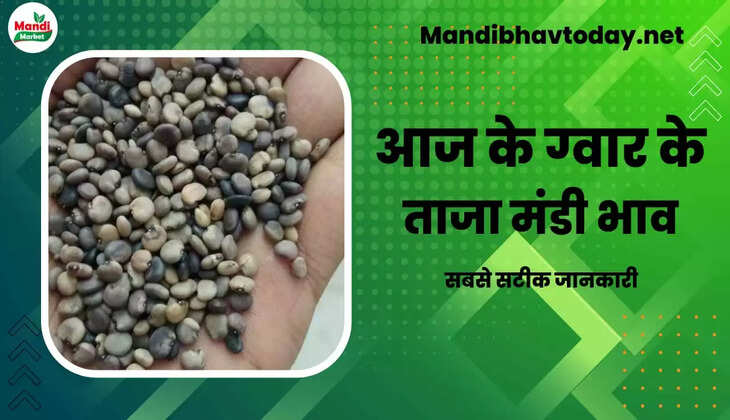 देखे आज के ग्वार के ताजा मंडी भाव | Today Gwar Price 18 January 2023 