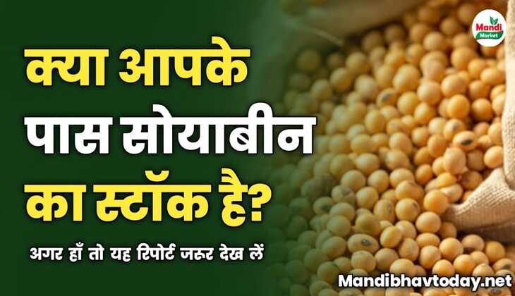 क्या आपके पास सोयाबीन का स्टॉक है? अगर हाँ तो यह रिपोर्ट जरूर देख लें | सोयाबीन तेजी मंदी रिपोर्ट
