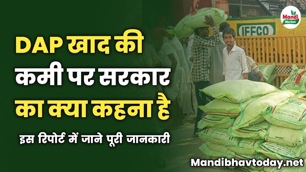 DAP खाद की कमी पर सरकार का क्या कहना है | जाने पूरी जानकारी सी रिपोर्ट में