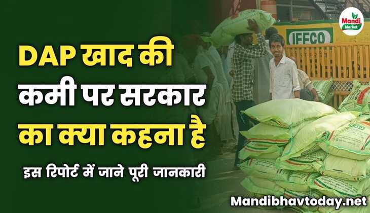 DAP खाद की कमी पर सरकार का क्या कहना है | जाने पूरी जानकारी सी रिपोर्ट में 