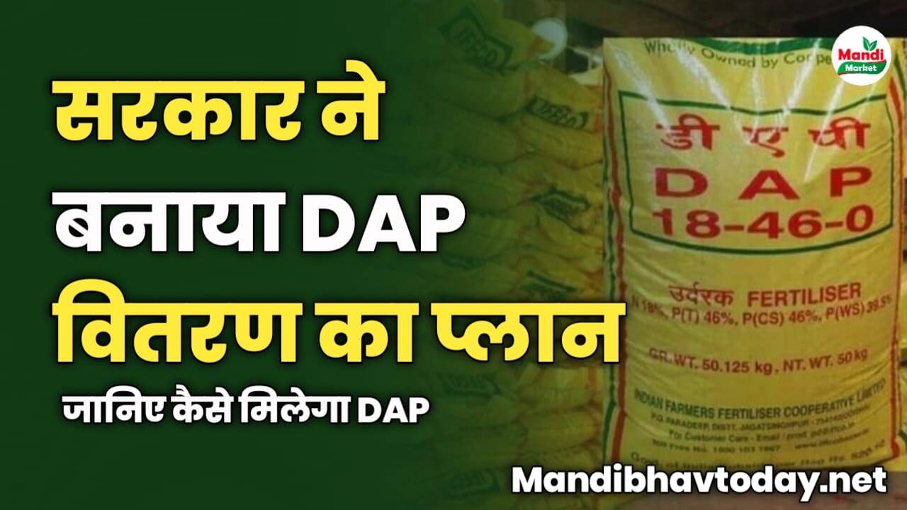 सरकार ने बनाया DAP वितरण का प्लान | जानिए कैसे मिलेगा DAP