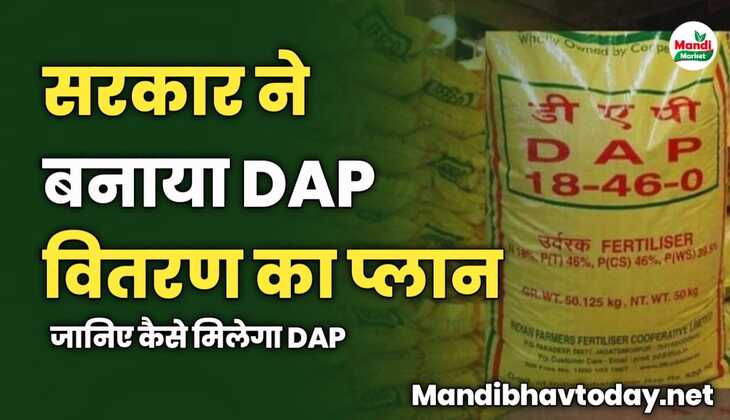 सरकार ने बनाया DAP वितरण का प्लान | जानिए कैसे मिलेगा DAP