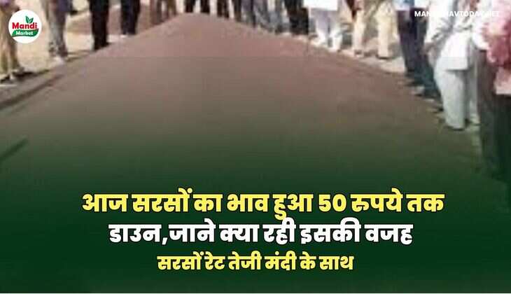 सरसों images