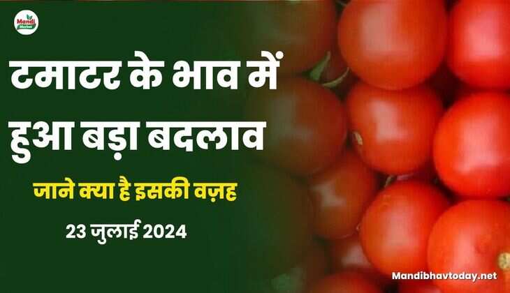 जाने क्या है इसकी वज़ह  