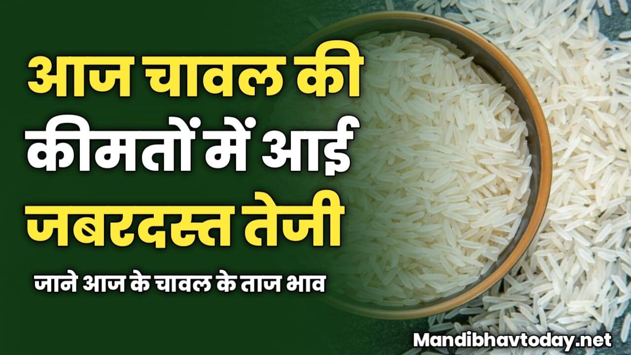 चावल की कीमतों में आई जबरदस्त तेजी | जाने आज के चावल के ताज भाव