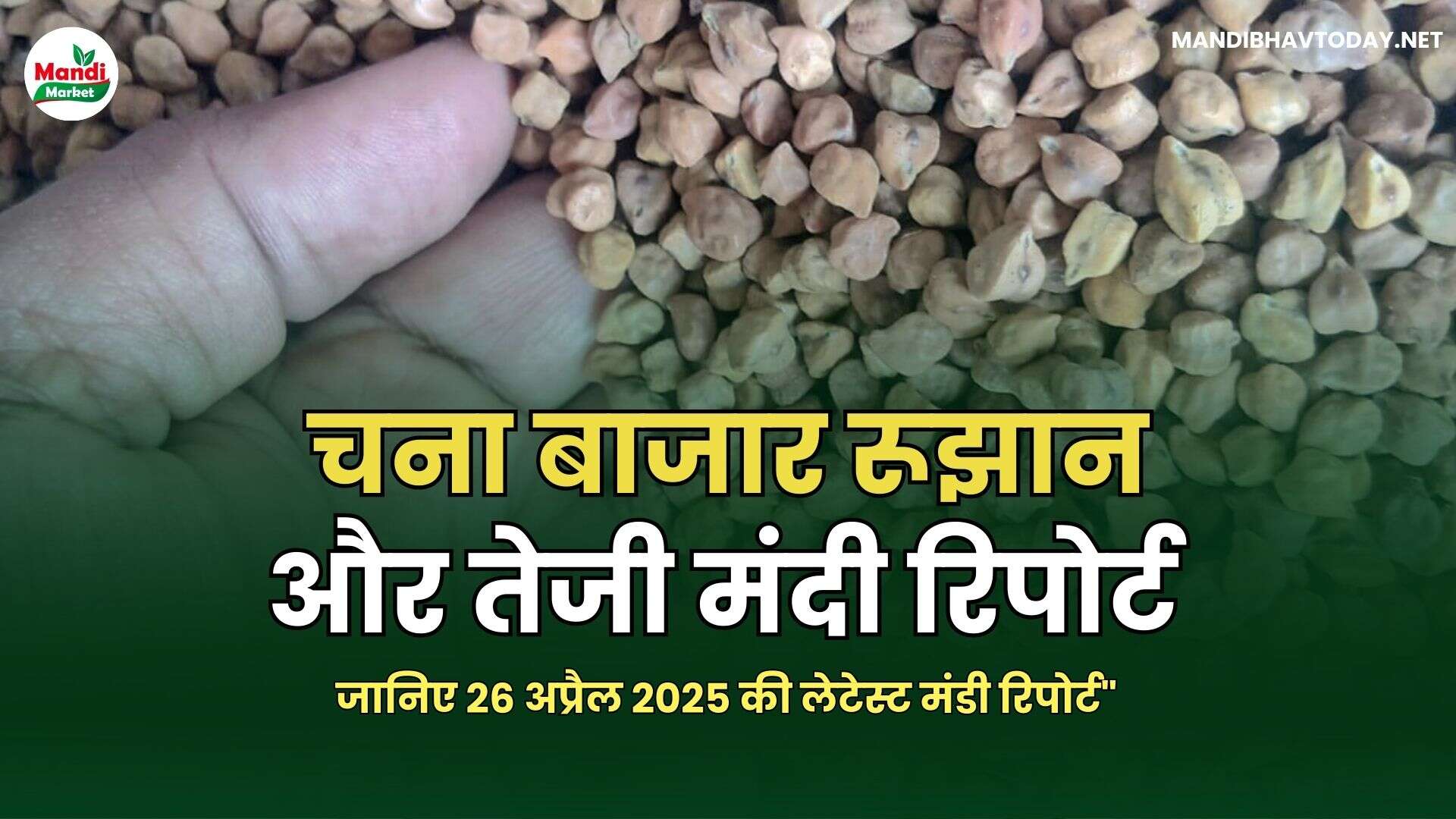 चना बाजार रूझान और तेजी मंदी रिपोर्ट – 26 अप्रैल 2025