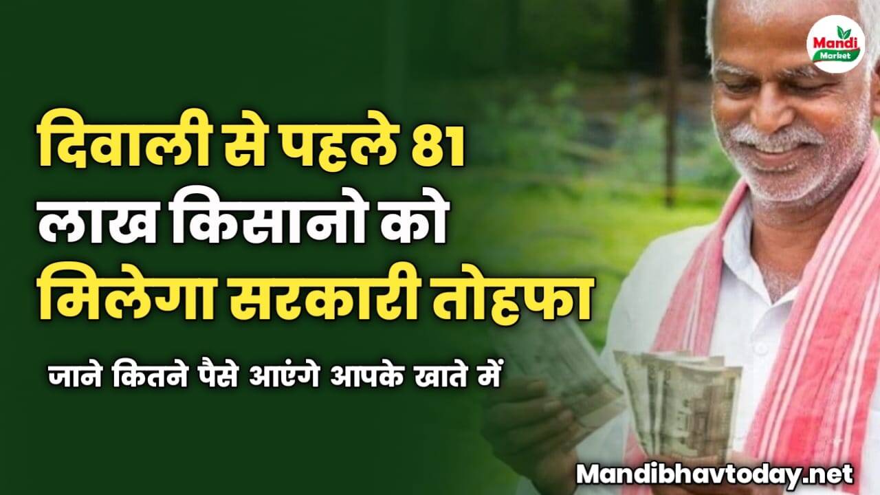 दिवाली से पहले 81 लाख किसानो को मिलेगा सरकारी तोहफा | जाने कितने पैसे आएंगे आपके खाते में
