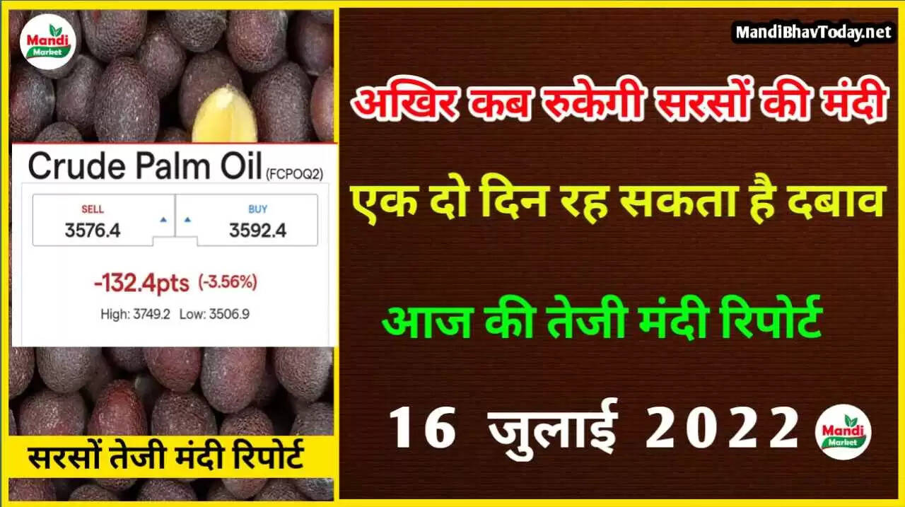 sarso teji mandi report