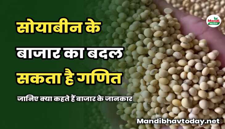 सोयाबीन के बाजार का बदल सकता है गणित | जानिए क्या कहते हैं बाजार के जानकार
