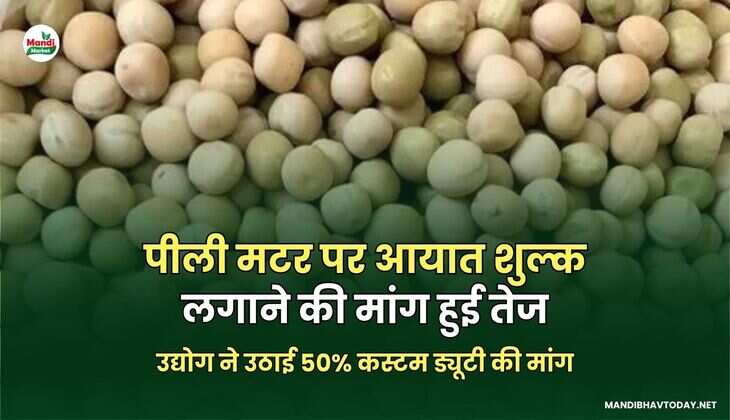 उद्योग ने उठाई 50% कस्टम ड्यूटी की मांग