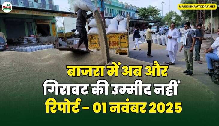 बाजरा में अब और गिरावट की उम्मीद नहीं