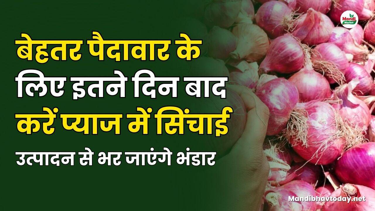 उत्पादन से भर जाएंगे भंडार