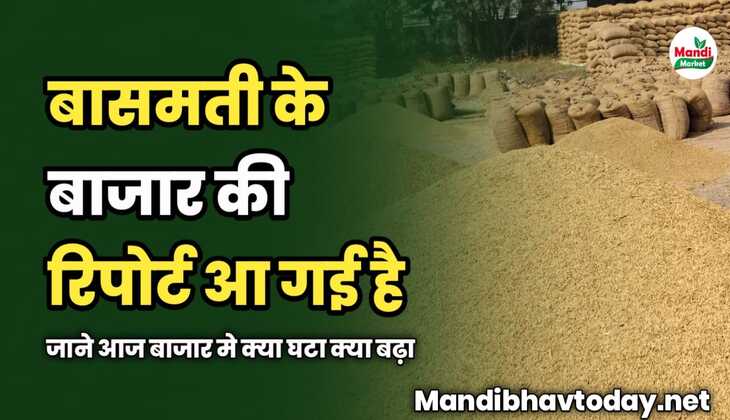 बासमती के बाजार की रिपोर्ट आ गई है | जाने आज बाजार मे क्या घटा क्या बढ़ा