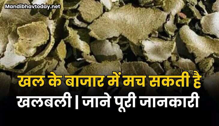 खल के बाजार में मच सकती है खलबली | खल के बाजार का आगे कैसा रहेगा रुझान