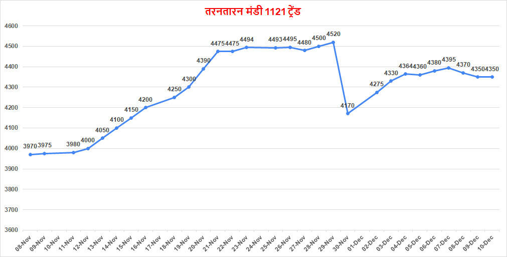 धान 1121 ने किया 4200 स्तर मेंटेन | जाने मंडियों में क्या लगे टॉप रेट