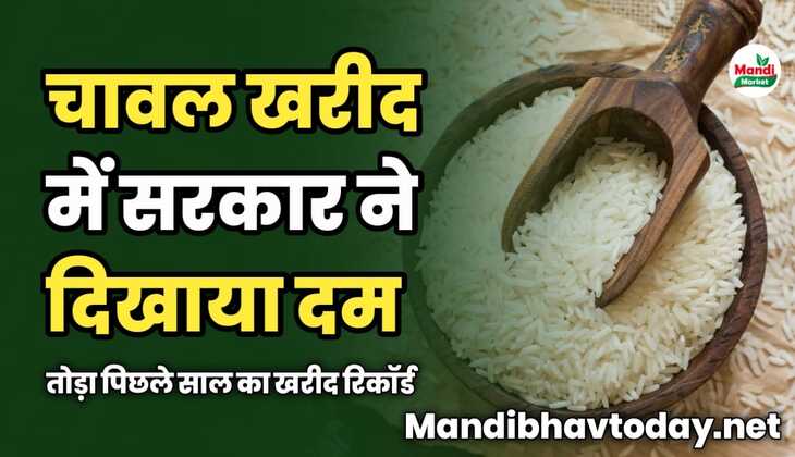 चावल खरीद में सरकार ने दिखाया दम | तोड़ा पिछले साल का खरीद रिकॉर्ड | जाने पूरी डिटेल्स