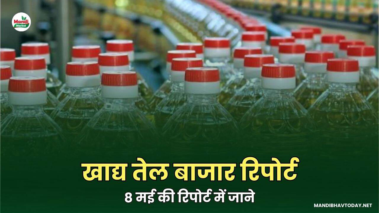 खाद्य तेल बाजार रिपोर्ट – 08 मई 2025
