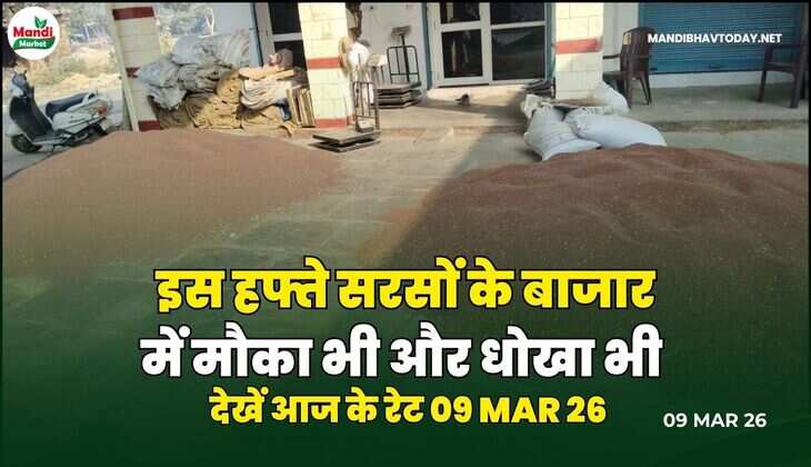 mandibhavtoday
