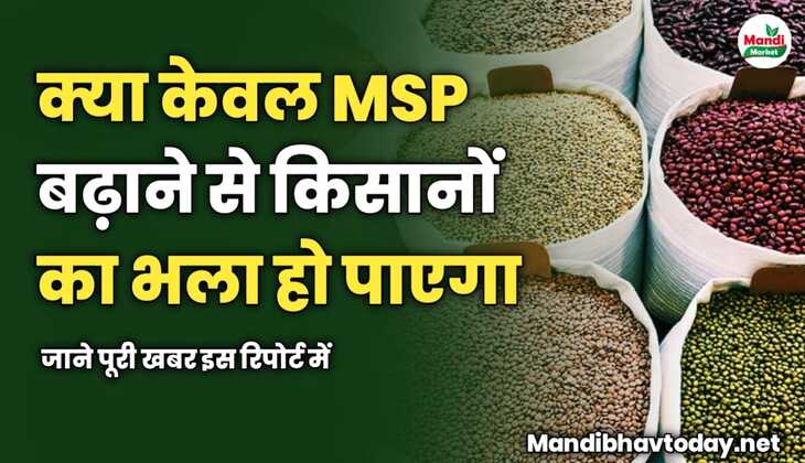 क्या केवल MSP बढ़ाने से किसानों का भला हो पाएगा | रिपोर्ट में जाने