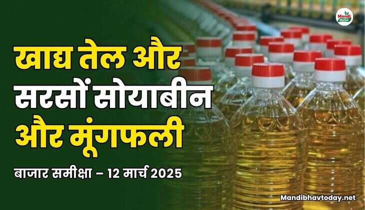बाजार समीक्षा &ndash; 12 मार्च 2025 