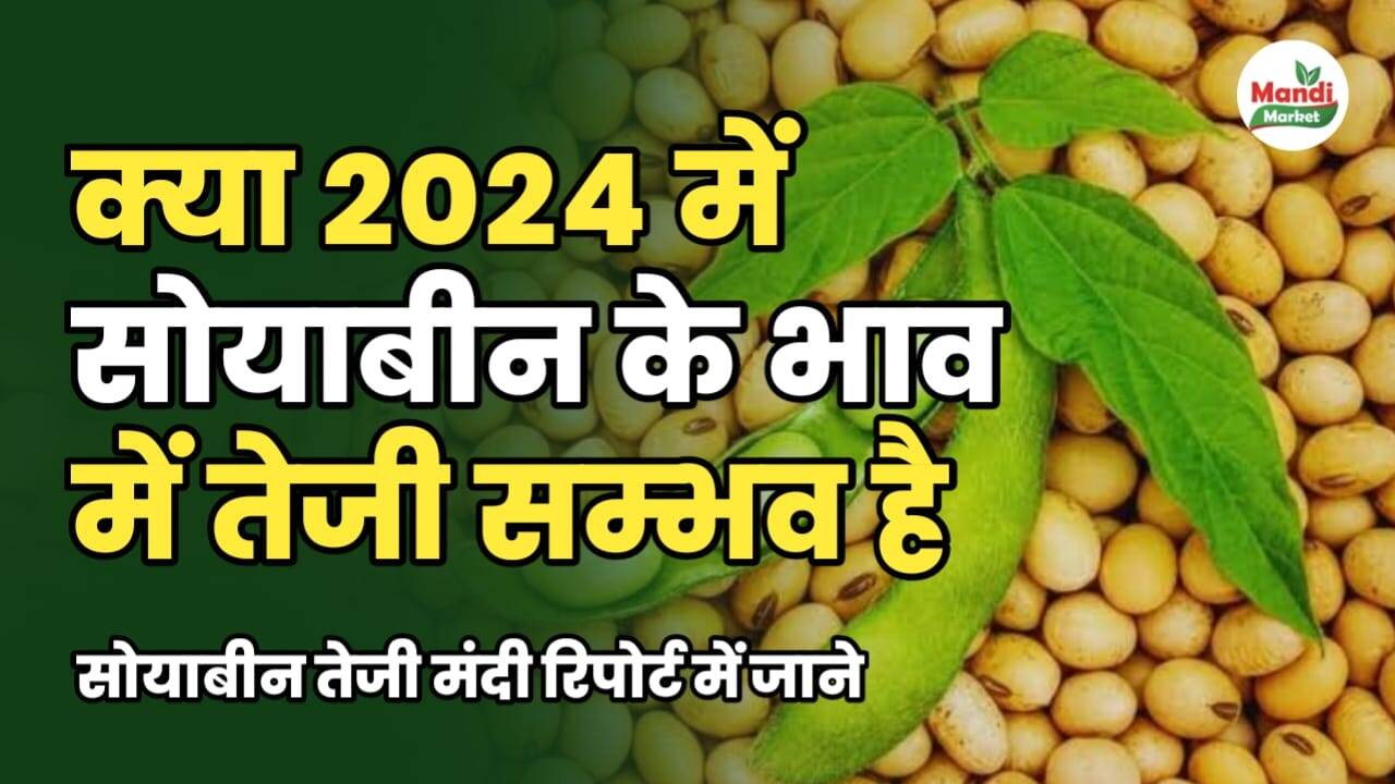 क्या साल 2024 में सोयाबीन के भाव बढ़ेंगे | जाने सोयाबीन की तेजी मंदी रिपोर्ट में
