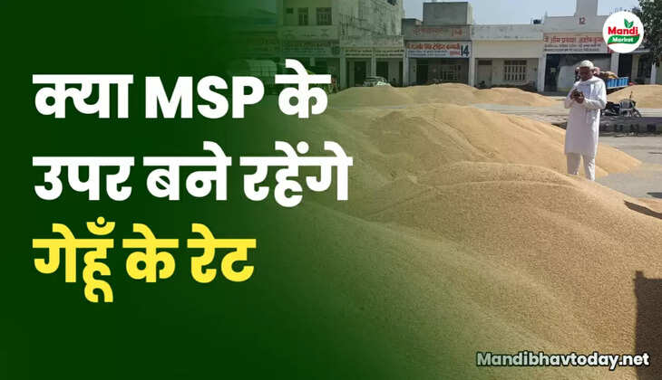 Wheat रेट msp
