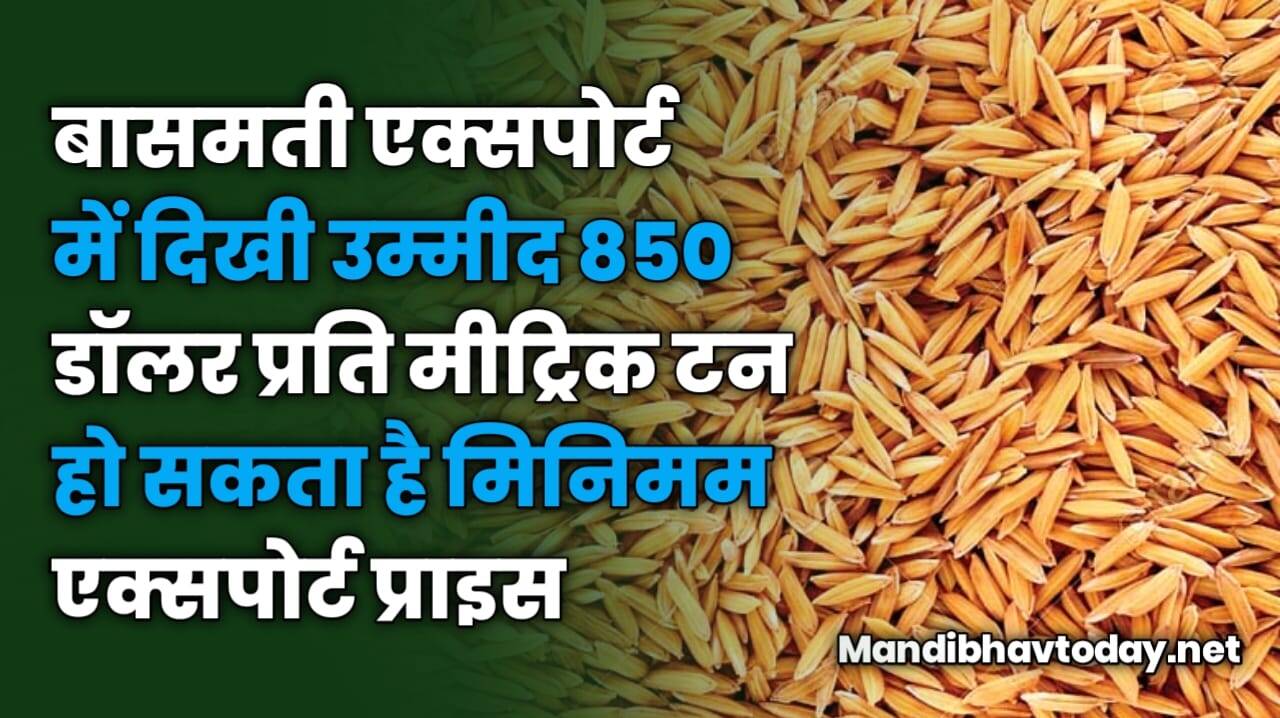 बासमती एक्सपोर्ट में दिखी उम्मीद 850 डॉलर प्रति मीट्रिक टन हो सकता है मिनिमम एक्सपोर्ट प्राइस