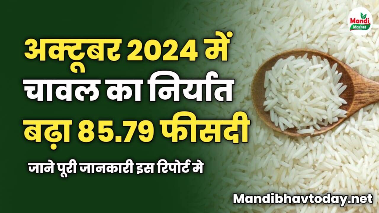 अक्टूबर 2024 में चावल का निर्यात बढ़ा 85.79 फीसदी | जाने पूरी जानकारी इस रिपोर्ट में 