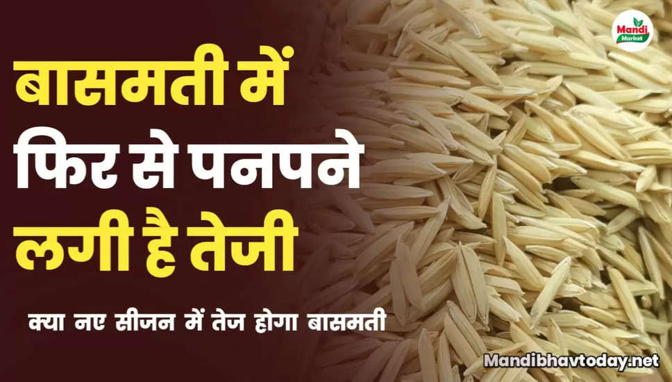 Basmati rate teji mandi report 13 july 2023