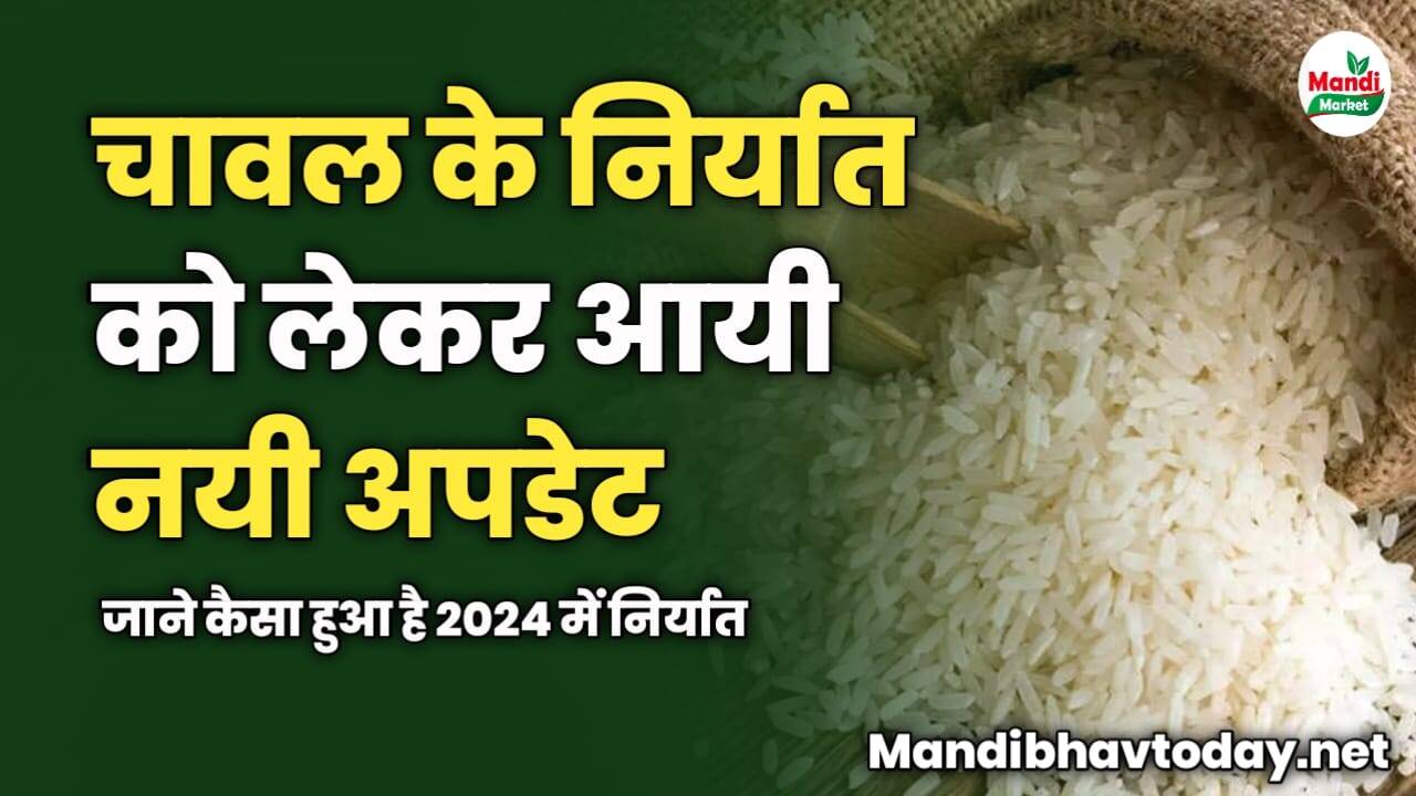 चावल के निर्यात को लेकर आयी नयी अपडेट | जाने कैसा हुआ है 2024 में निर्यात