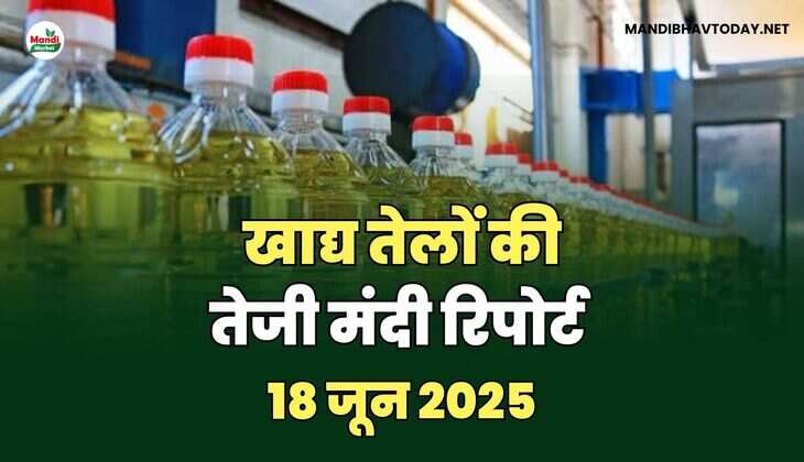 खाद्य तेल images