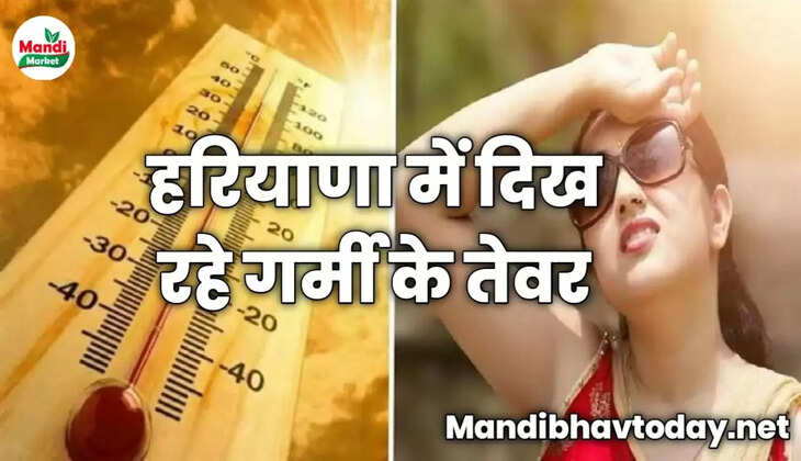 हरियाणा में दिख रहे गर्मी के तेवर