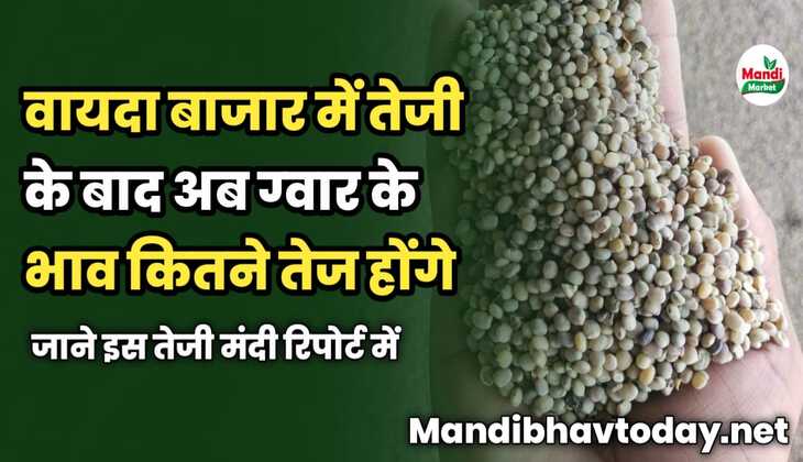 वायदा बाजार में तेजी के बाद अब ग्वार के भाव कितने तेज होंगे | जाने इस तेजी मंदी रिपोर्ट में