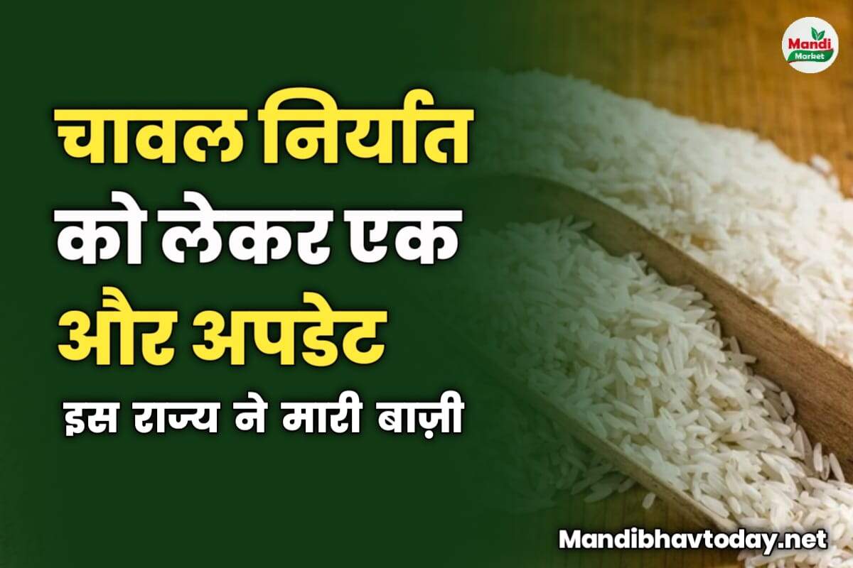 चावल निर्यात को लेकर एक और अपडेट | इस राज्य ने मारी बाज़ी 