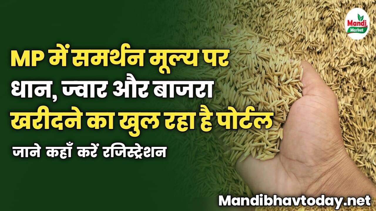 MP में समर्थन मूल्य पर धान, ज्वार और बाजरा खरीदने का खुल रहा है पोर्टल | जाने कहाँ करें रजिस्ट्रेशन