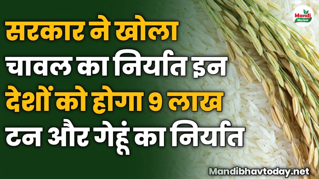 सरकार ने खोला चावल का निर्यात | इन देशों को होगा 9 लाख टन और गेहूं का निर्यात