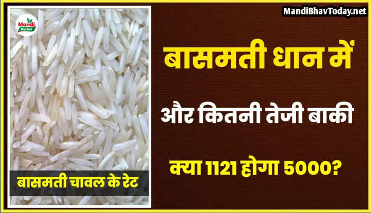 Basmati rate