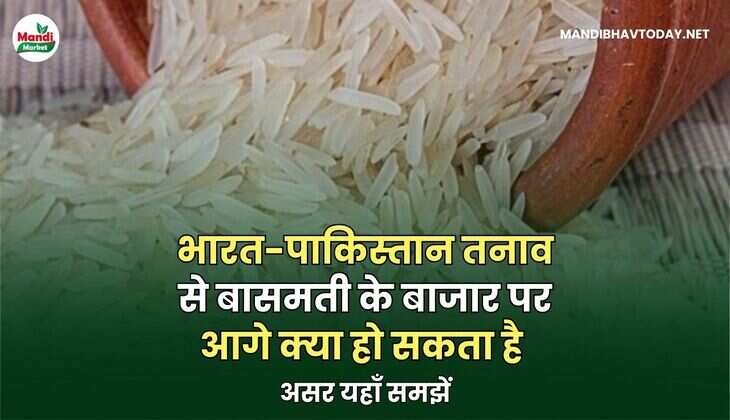 भारत-पाकिस्तान तनाव से बासमती के बाजार पर आगे क्या हो सकता है असर यहाँ समझें
