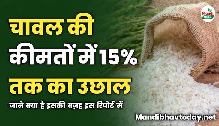 चावल की कीमतों में 15% तक का उछाल | जाने क्या है इसकी वज़ह