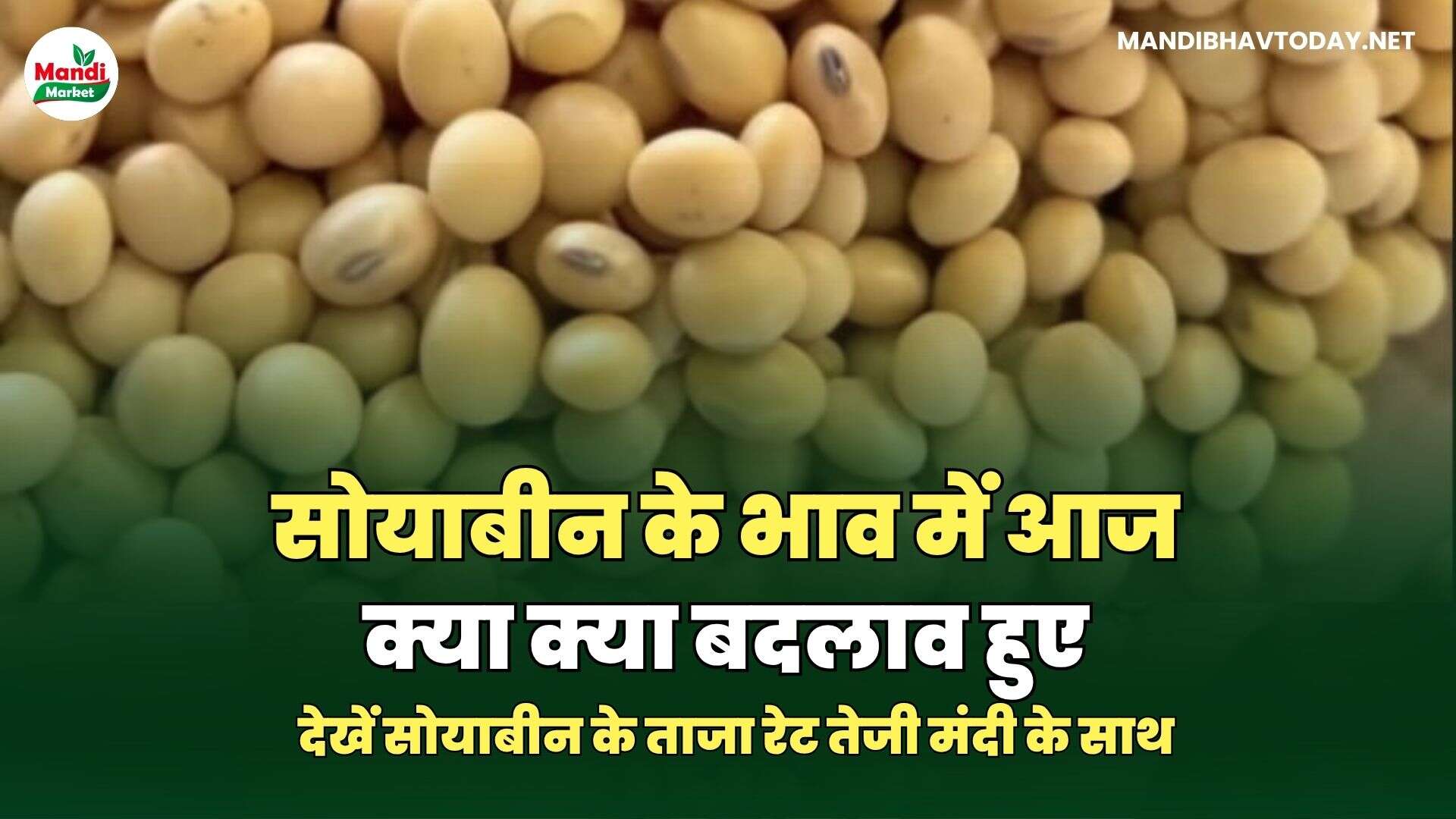 सोयाबीन images