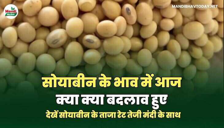 सोयाबीन images