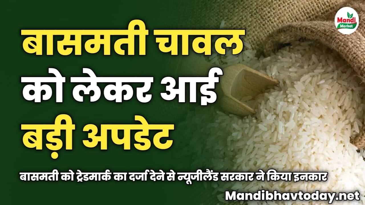 बासमती चावल को लेकर आई बड़ी अपडेट | बासमती को ट्रेडमार्क का दर्जा देने से न्यूजीलैंड सरकार ने किया इनकार