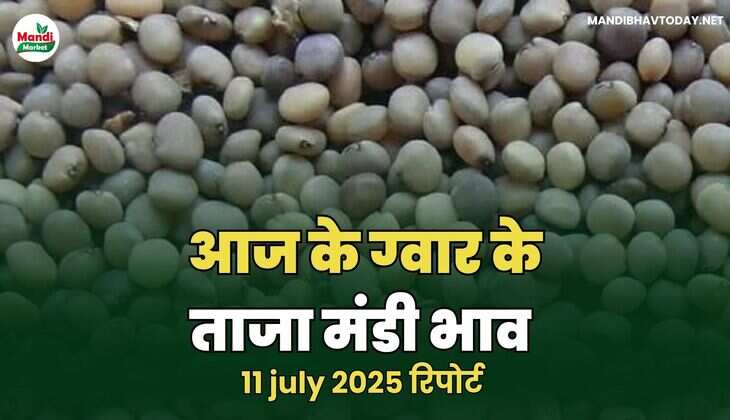 आज के ग्वार के ताजा मंडी भाव