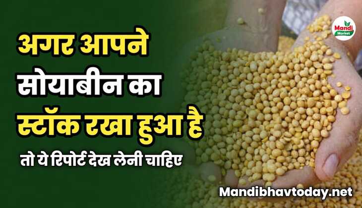 अगर आपने सोयाबीन का स्टॉक रखा हुआ है तो ये रिपोर्ट देख लेनी चाहिए | सोयाबीन की सबसे सटीक तेजी मंदी रिपोर्ट