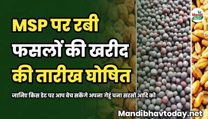 MSP पर रबी फसलों की खरीद की तारीख घोषित | जानिए किस डेट पर आप बेच सकेंगे अपना गेहूं चना सरसों आदि को
