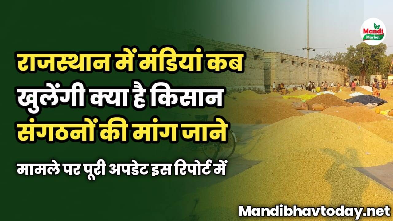 राजस्थान में मंडियां कब खुलेंगी | क्या है किसान संगठनों की मांग | मामले पर पूरी अपडेट देखें